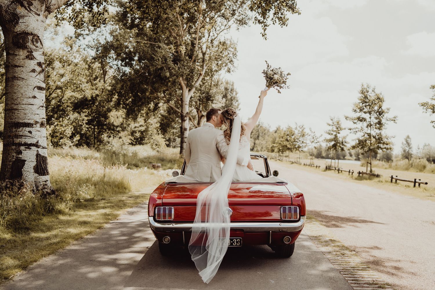 A classic red Mustang convertible with draped fabric photographed on a tree-lined road.