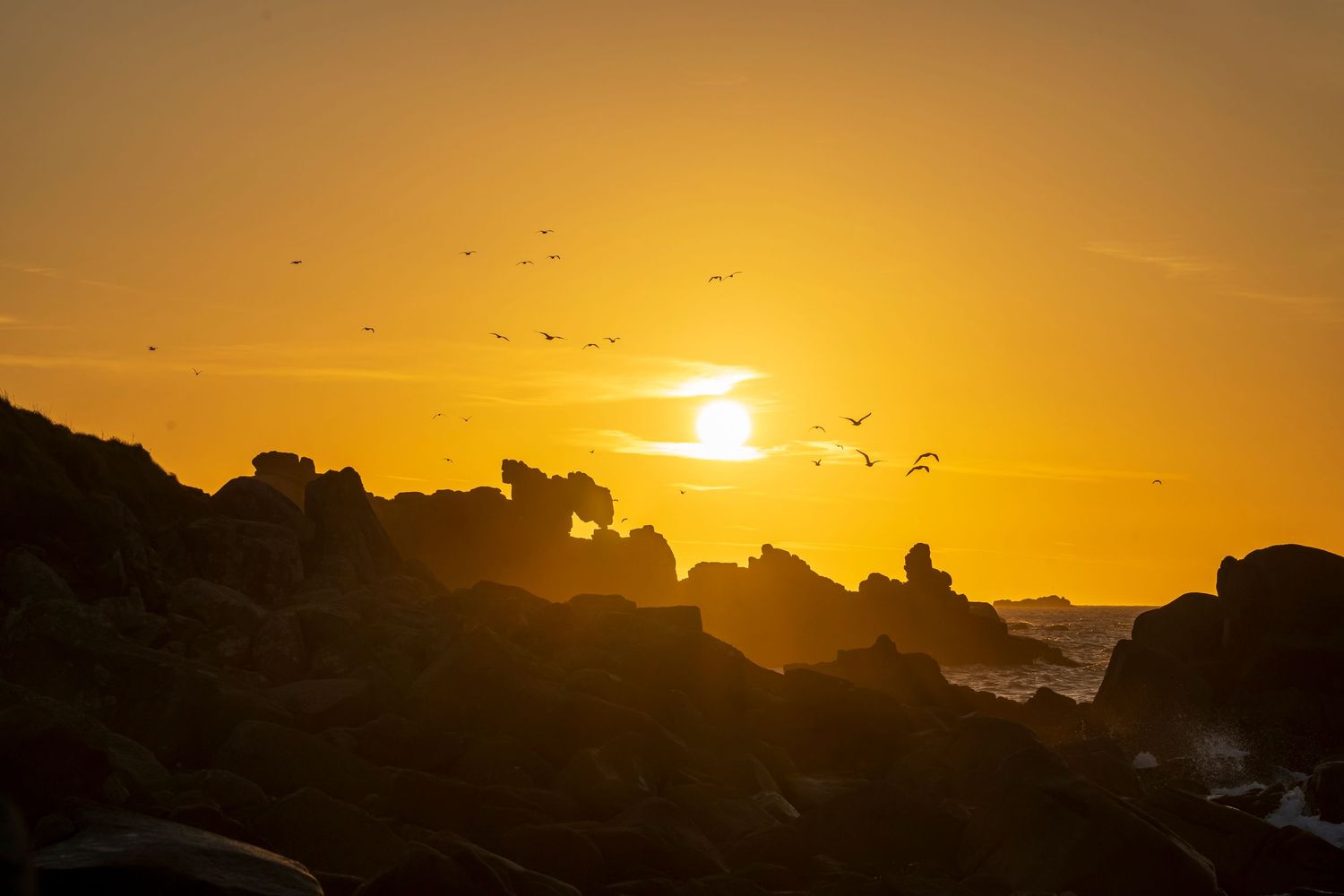 Tall grass silhouetted against a vibrant orange sunset sky over the ocean.