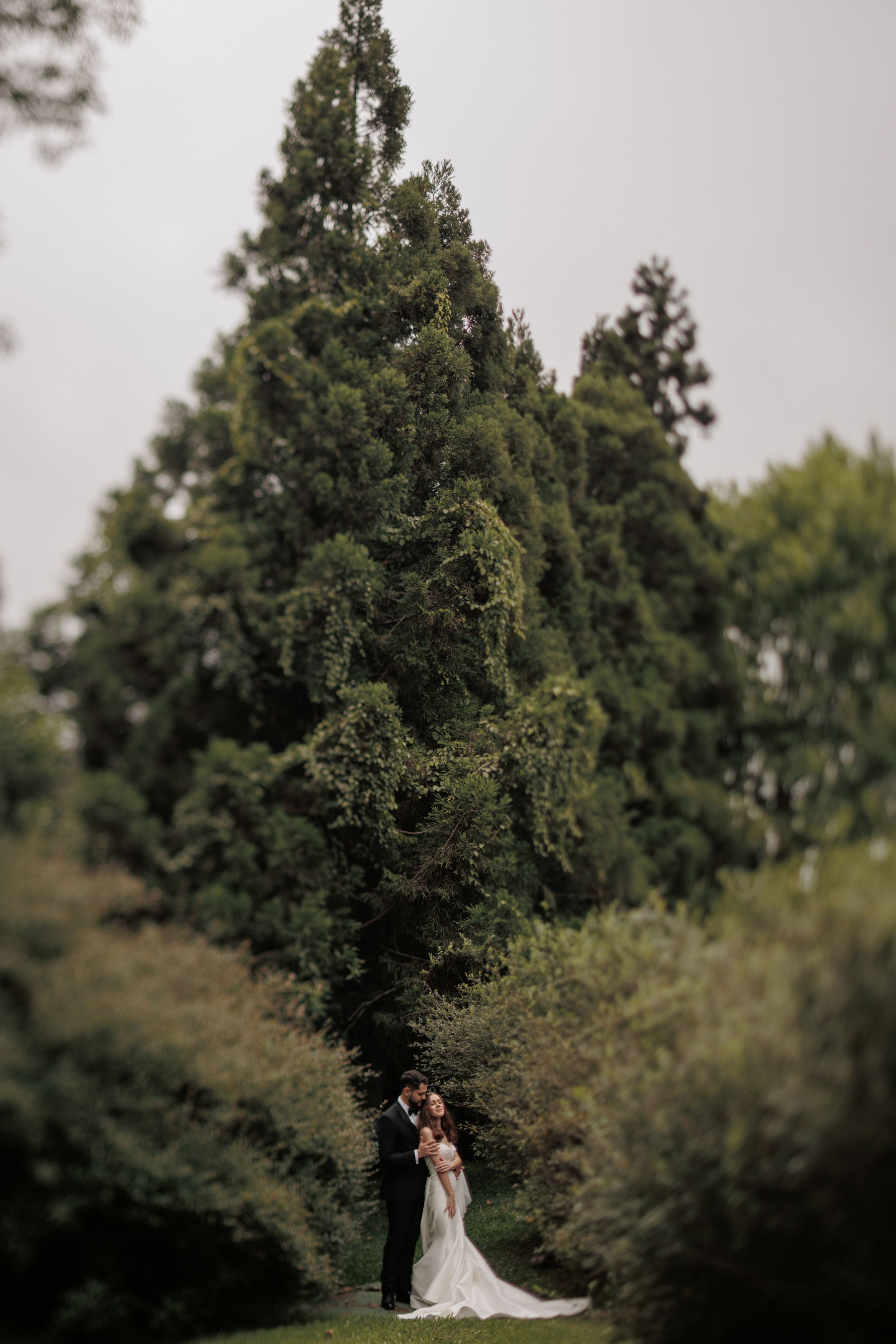 Wedding couple stands in intimate embrace against backdrop of towering evergreen trees in outdoor garden setting.