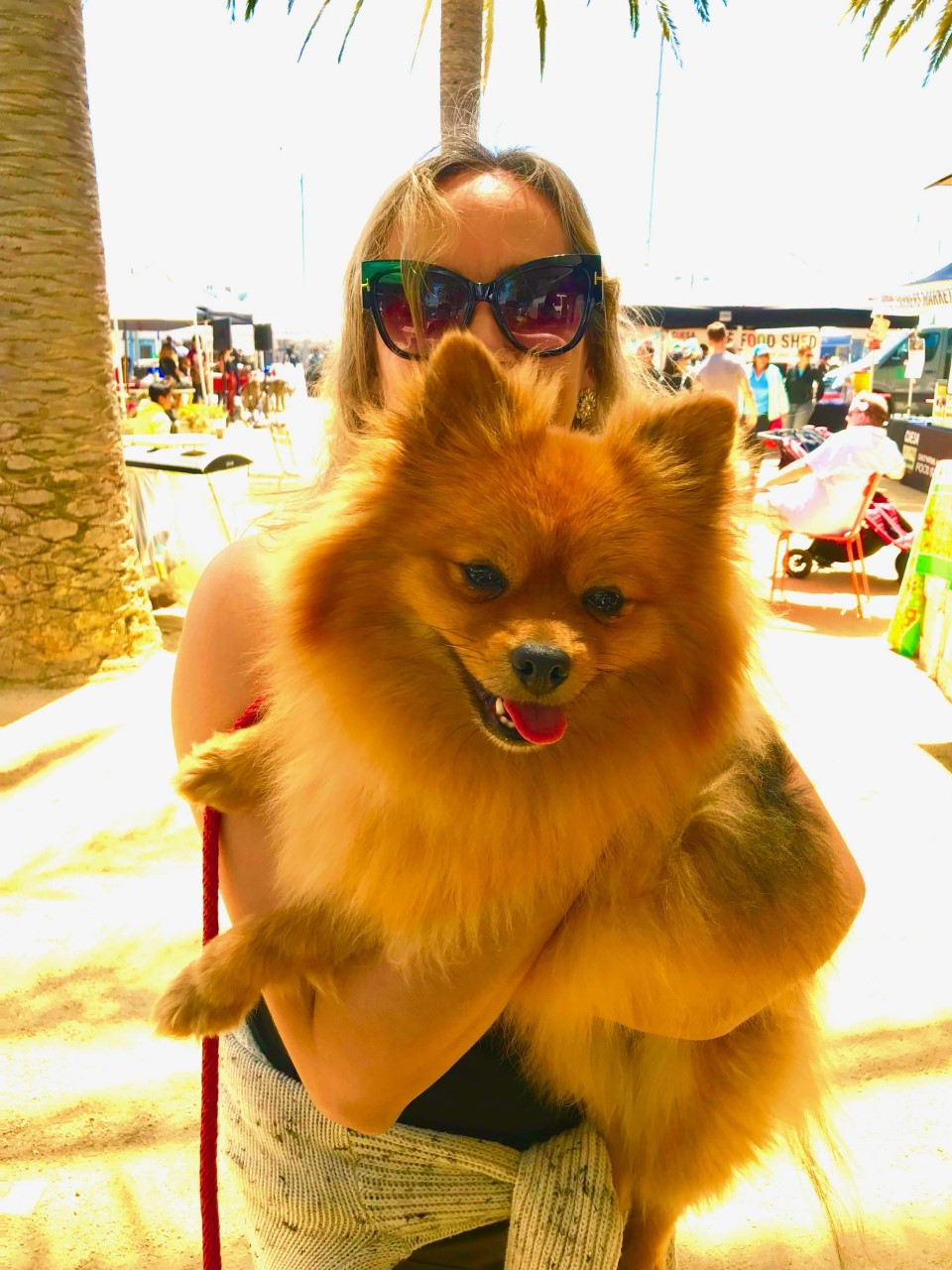 Maui + hand therapy + lymphedema therapy + years of training and experience + the best