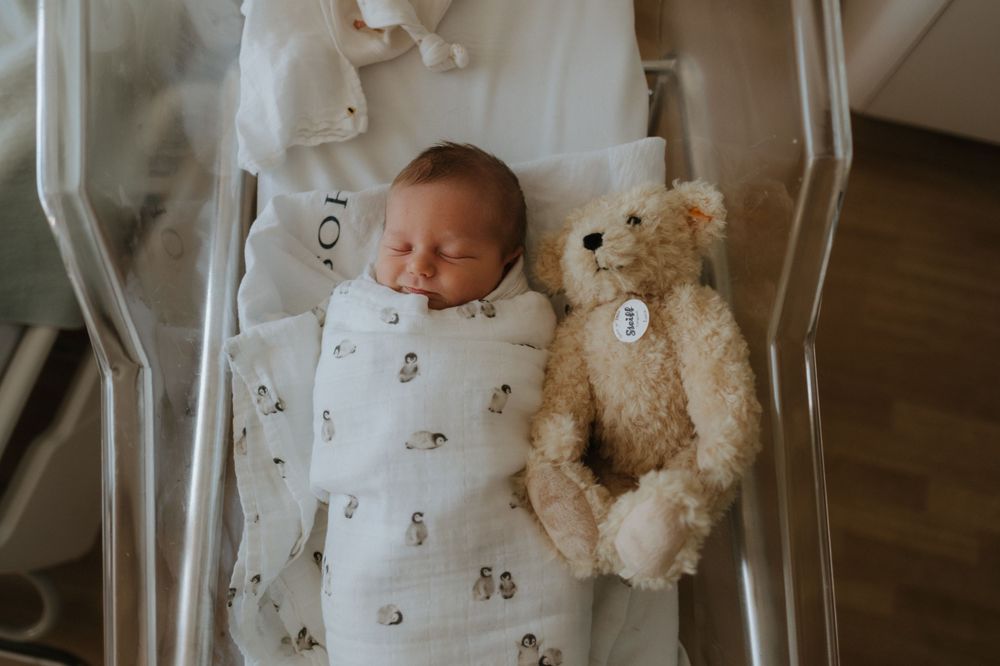 auckland birth photographer