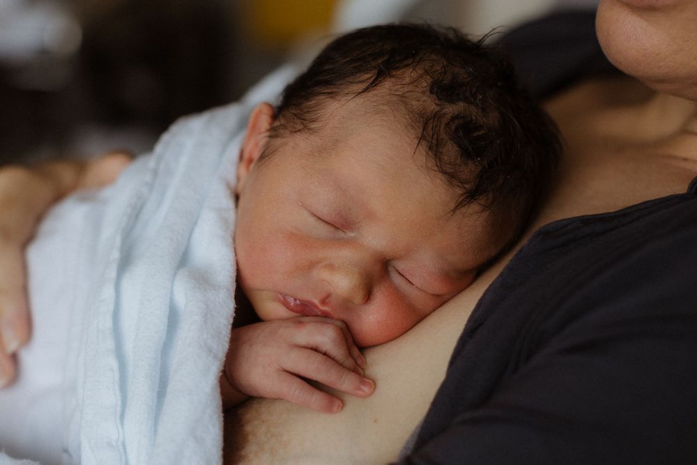 Auckland birth photographer
