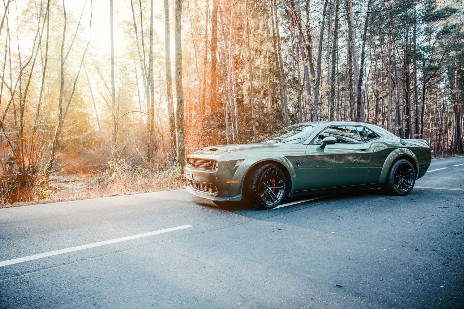 Dodge