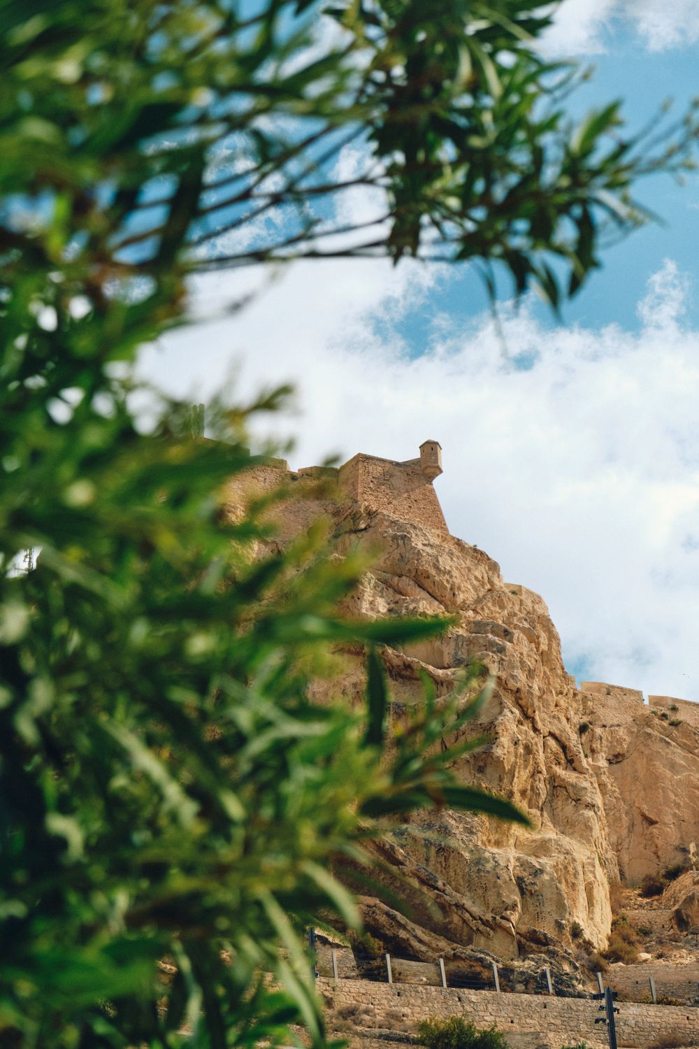 Ancient fortress ruins viewed through tree branches against blue sky.
