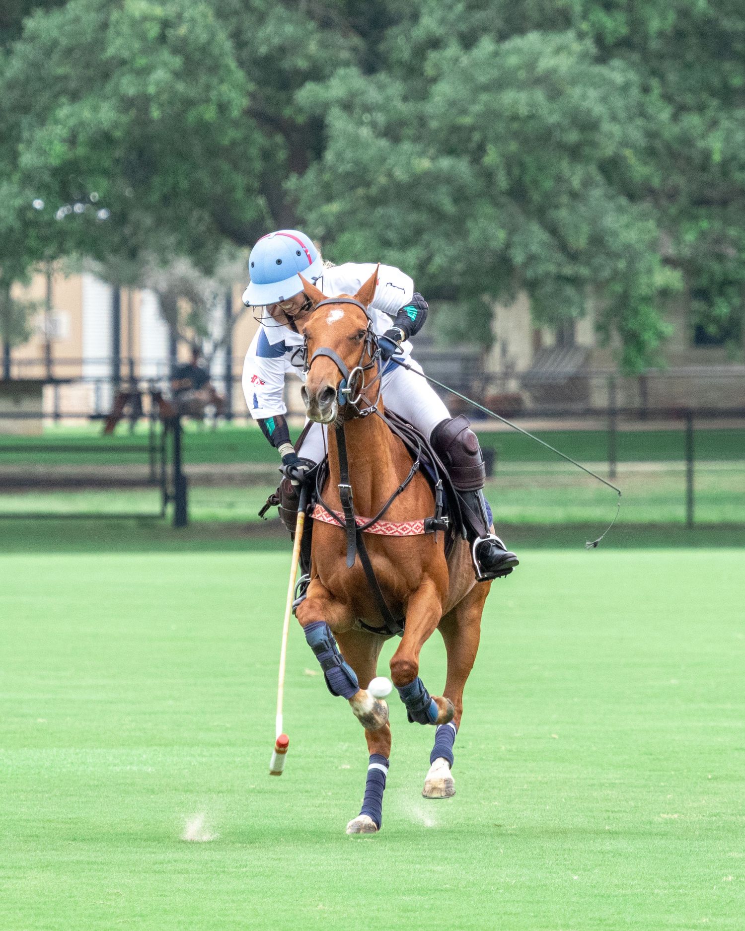 Polo KC Krueger