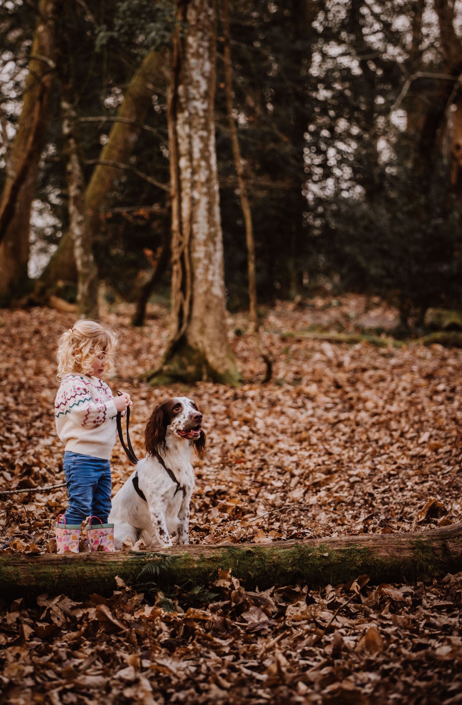 Dog walk Puddletown woods, Dorchester. candid documentary style. Dorchester photographer. Dorset Photographer