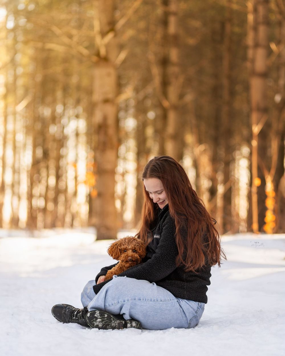 human-dog-photoshoot
dog-portrait-photoshoot