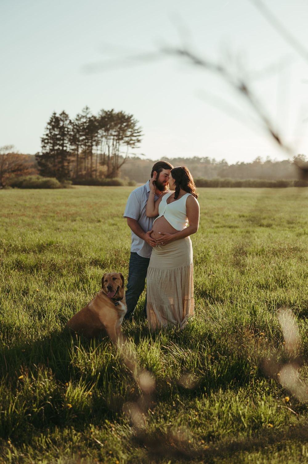Couple sharing a tender moment in a sunlit green field with their golden Labrador dog, trees in the background.
