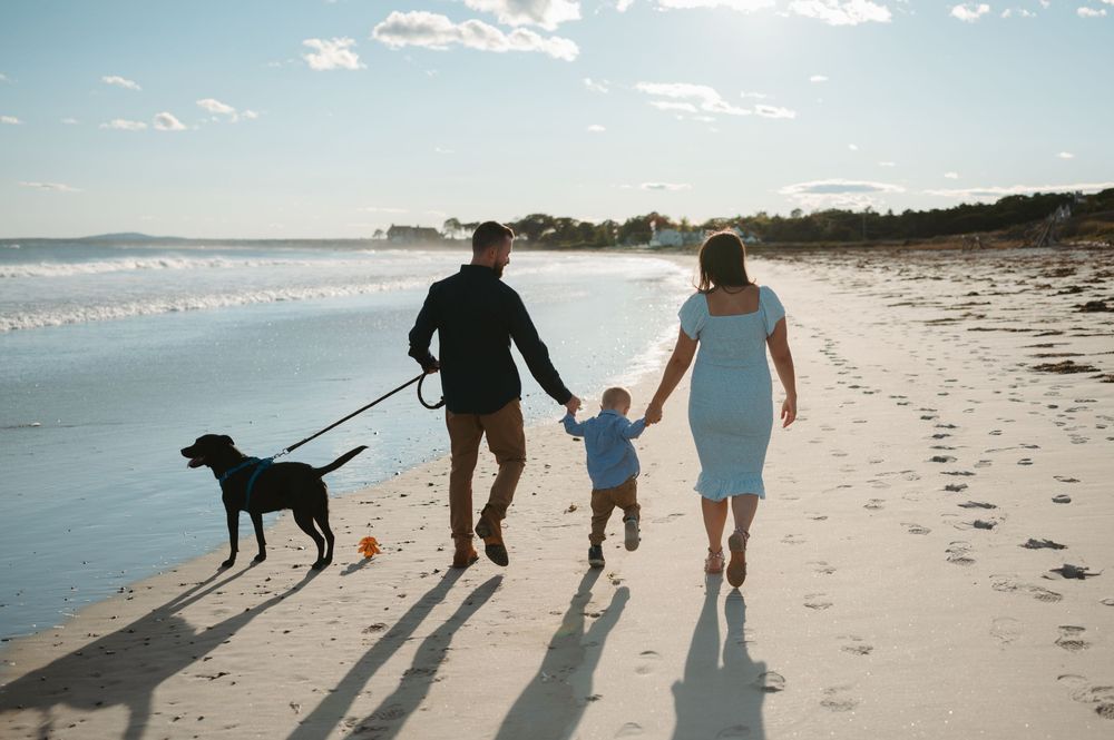 Long shadows cast on sandy beach at sunset as people and dog walk along the shoreline.