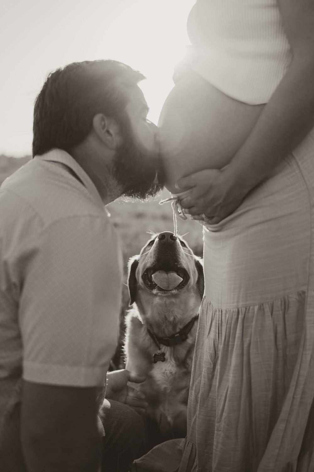 Black and white maternity photo of bearded man kissing pregnant belly while happy dog looks up in sunlight.