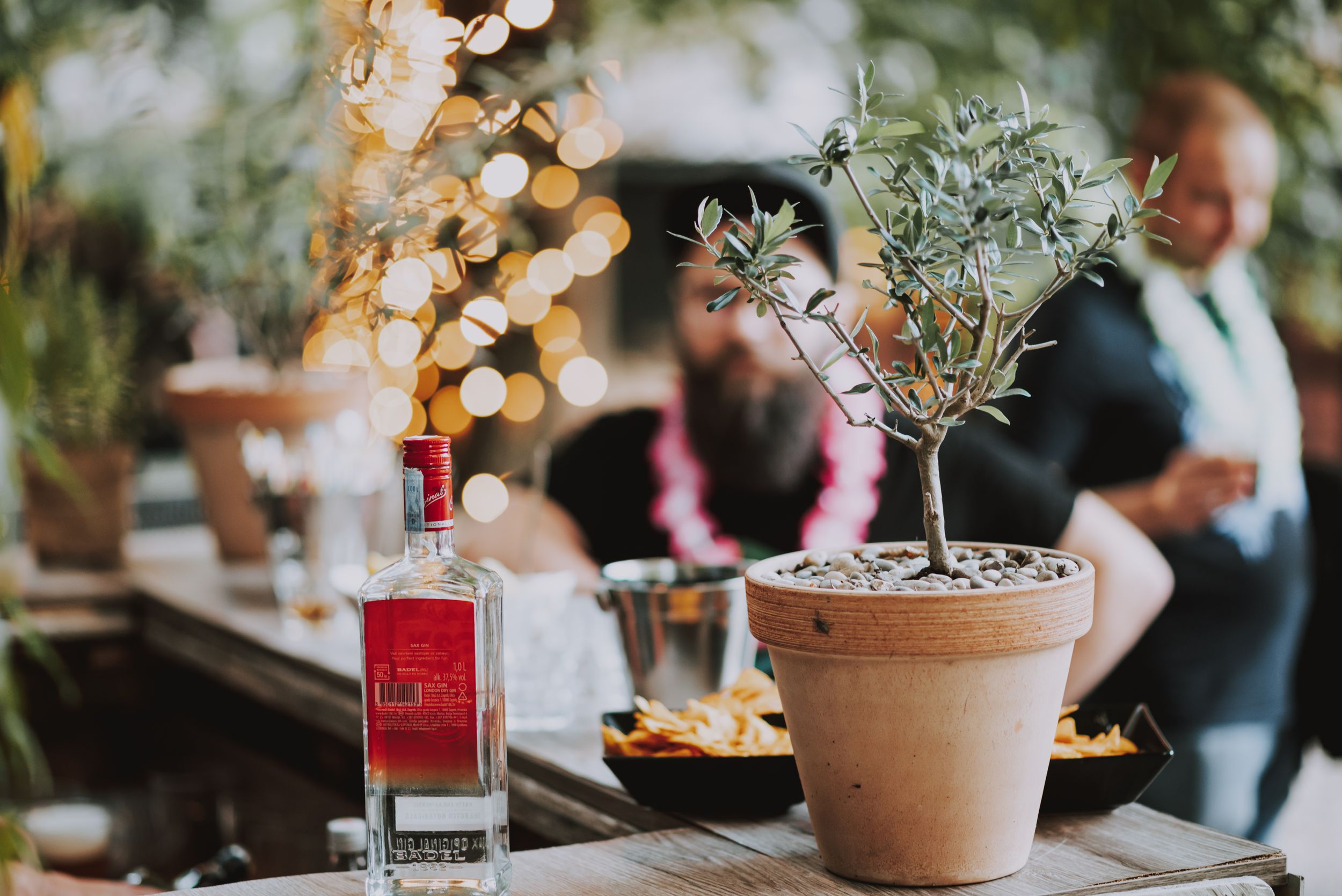 Potted plant and bottle arrangement on wooden table with twinkle lights in background.