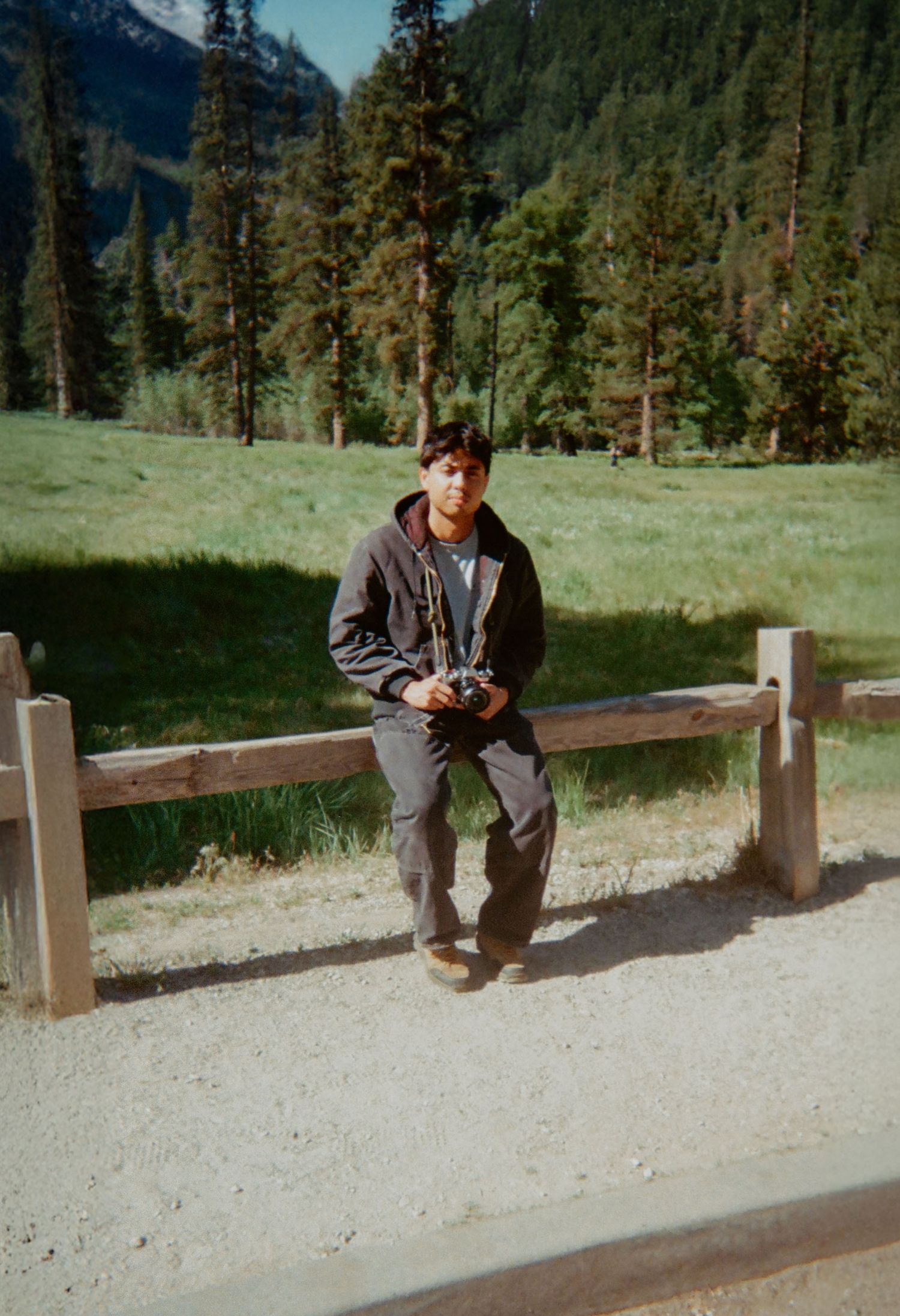 Wooden benches along a dirt path with pine trees and mountains in the background.