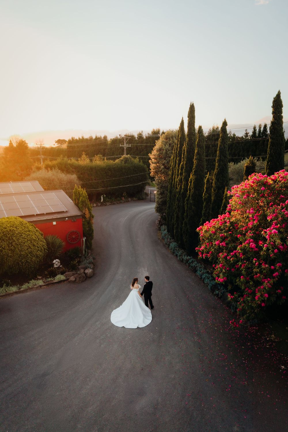 Aerial view of bride and groom standing on winding driveway at sunset, surrounded by cypress trees and pink flowers.