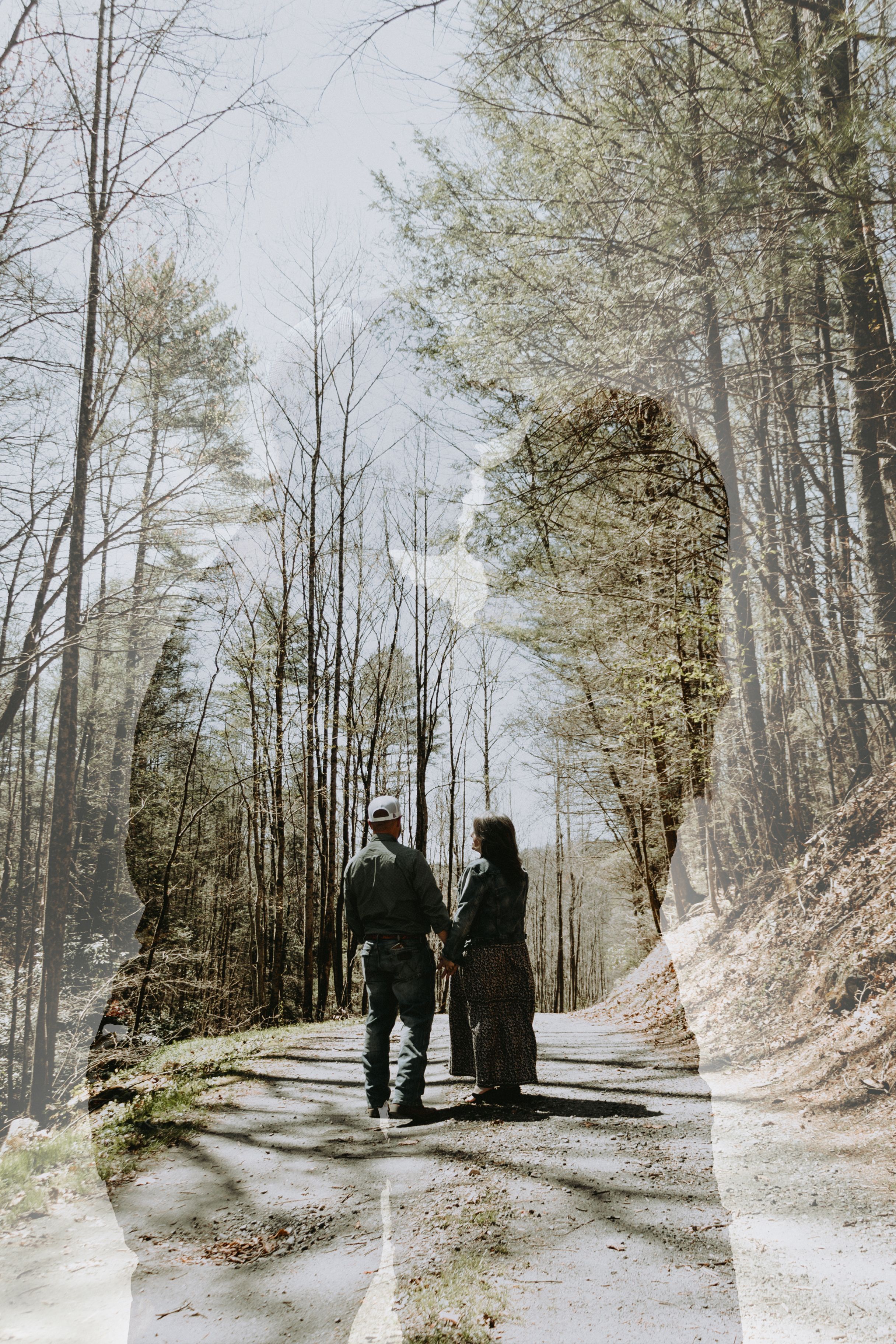 Two silhouettes walk together on a forest path surrounded by tall trees.