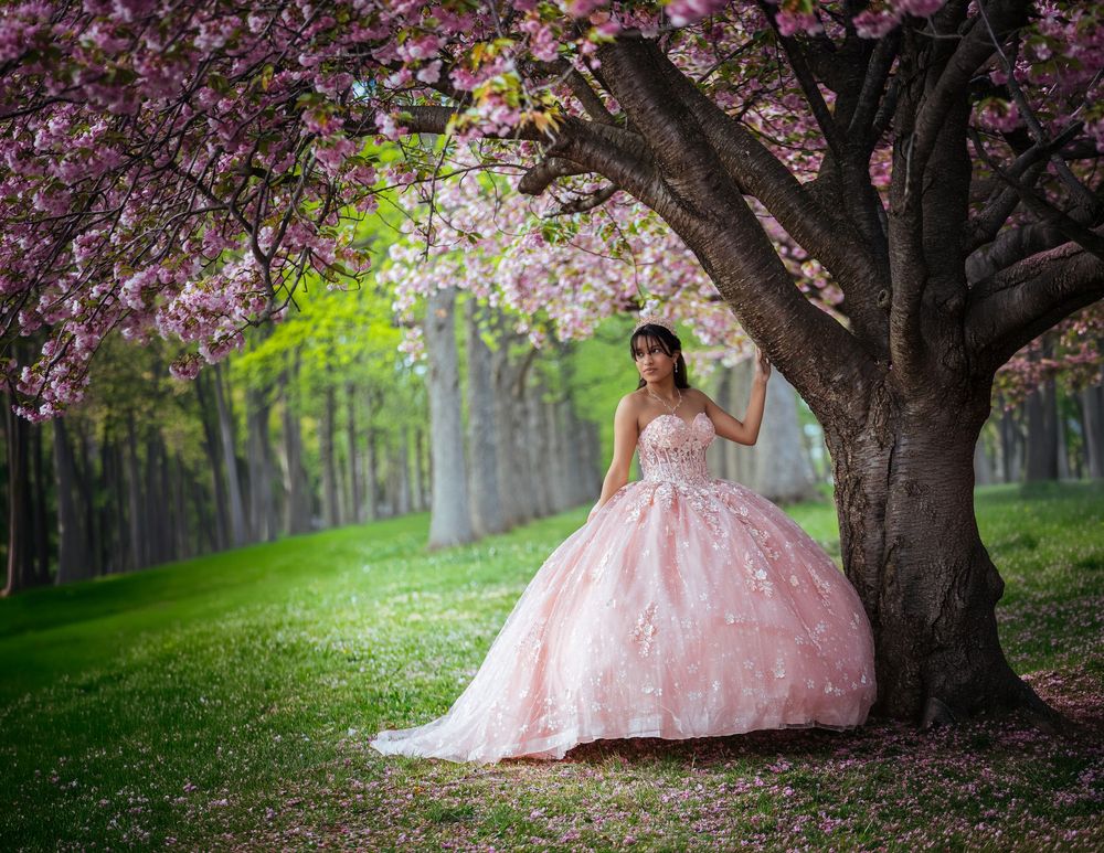 Young woman in pink ball gown stands beneath blooming cherry blossom tree in lush green park setting.