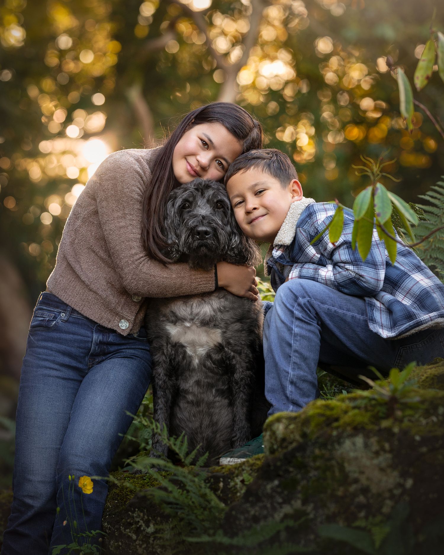Family Photography sheffield