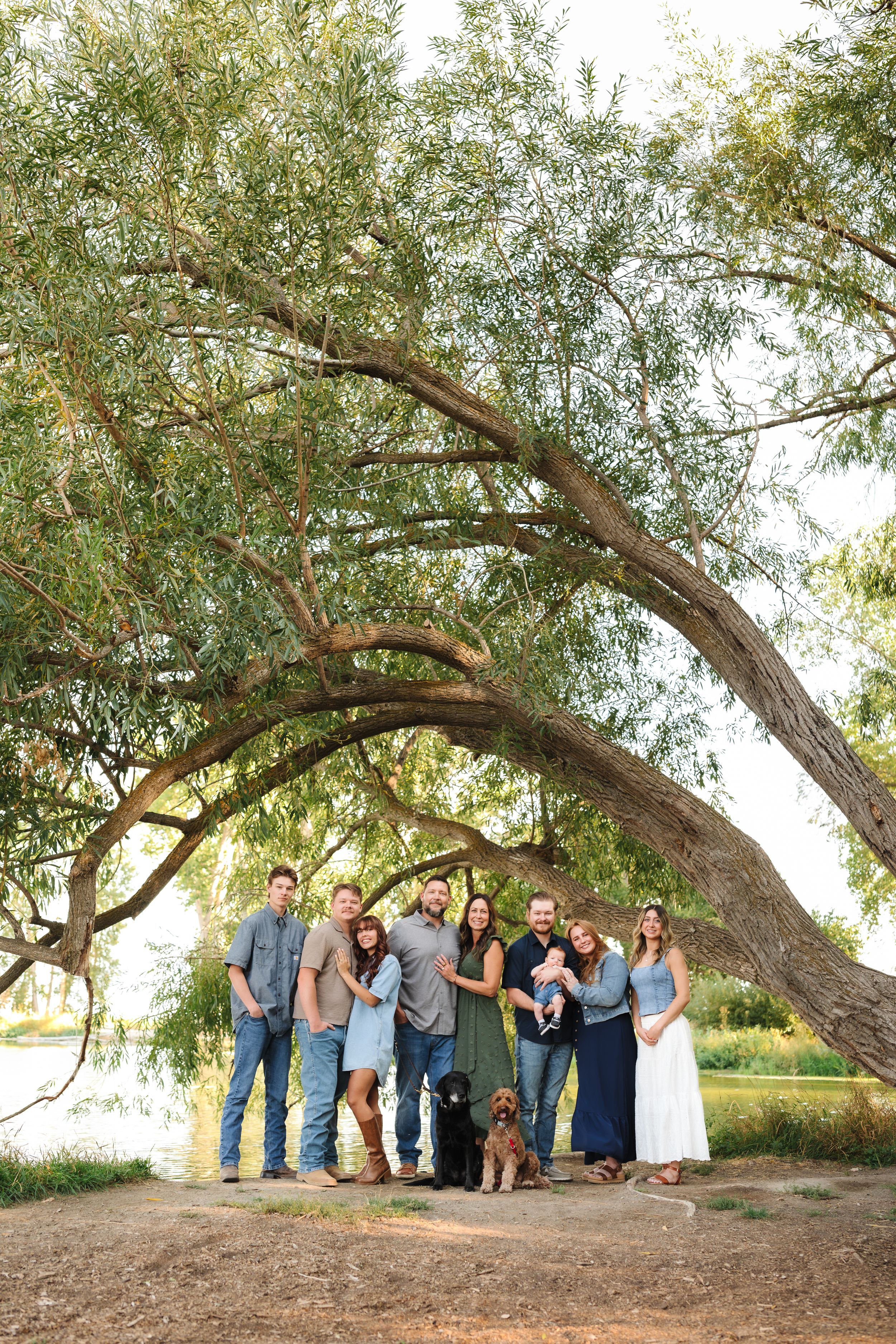 A group gathers under a large leaning willow tree for a casual outdoor photo with their dog.