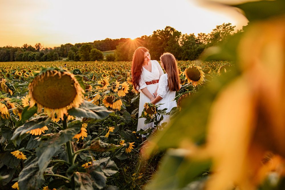Lifestyle family photography of mom and daughter enjoying sunflowers in Upstate NY.