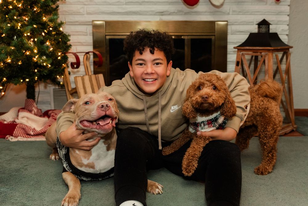 A series of holiday photos showing people and pets posing with Christmas trees and decorations in a cozy home setting.