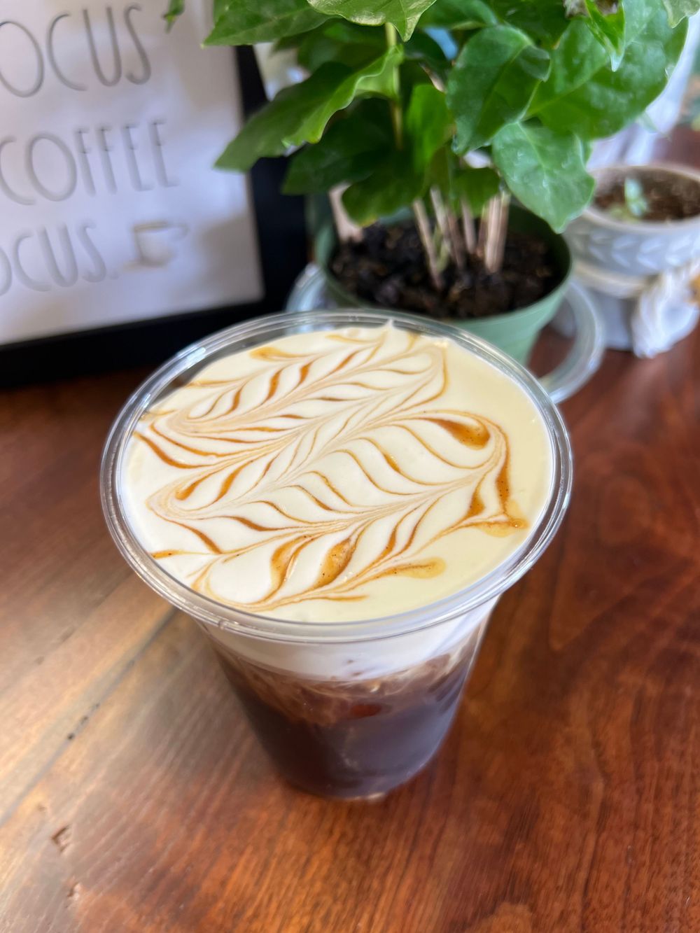 A glass of iced latte with artistic leaf pattern latte art on top, displayed next to a potted plant on a wooden table.