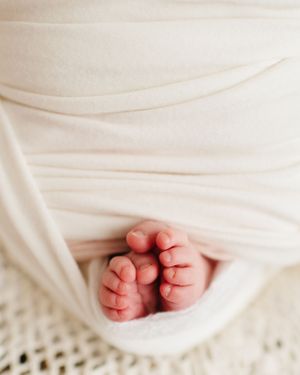 Posed Newborn Photographer based in Denver Colorado offering in Studio Newborn Photo sessions. Centennial Colorado photography studio
