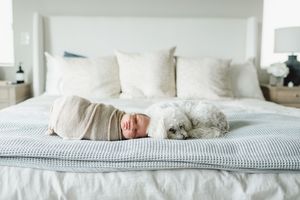 In home newborn session in Lakewood Colorado. Family and newborn photographer in Lakewood Colorado.
