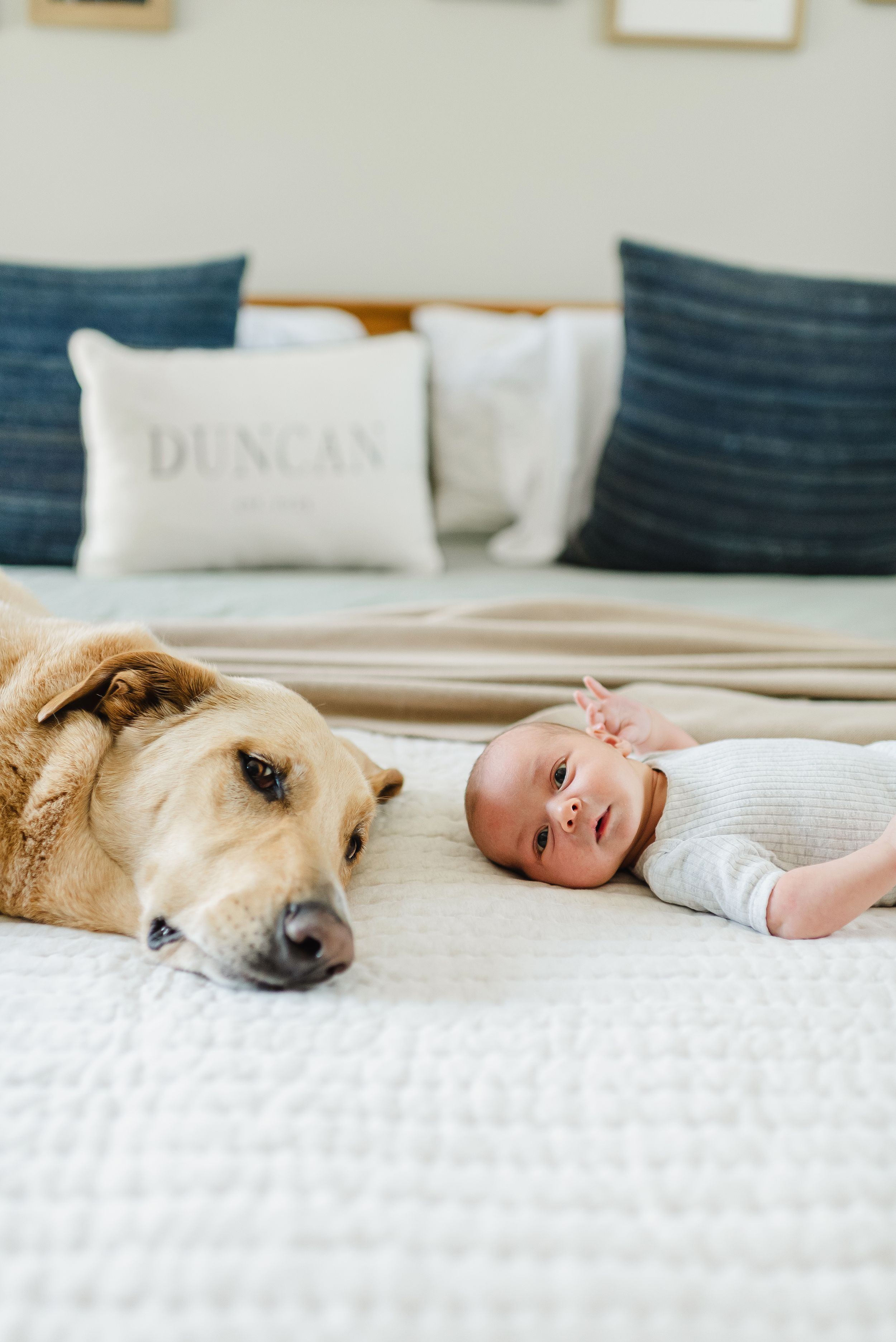 In home newborn session in Broomfield Colorado. Family and newborn photographer in Broomfield Colorado.