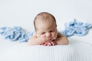In home newborn session in Lakewood Colorado. Family and newborn photographer in Lakewood Colorado.