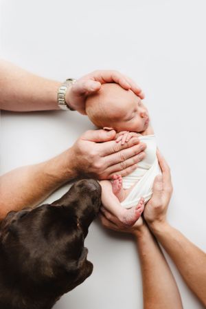 Posed Newborn Photographer based in Denver Colorado offering in Studio Newborn Photo sessions. Centennial Colorado photography studio