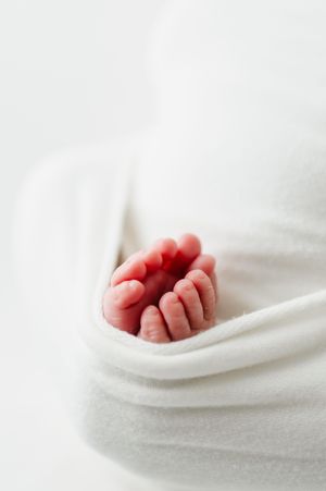 Newborn photography in studio of family and children based in Colorado including baby details