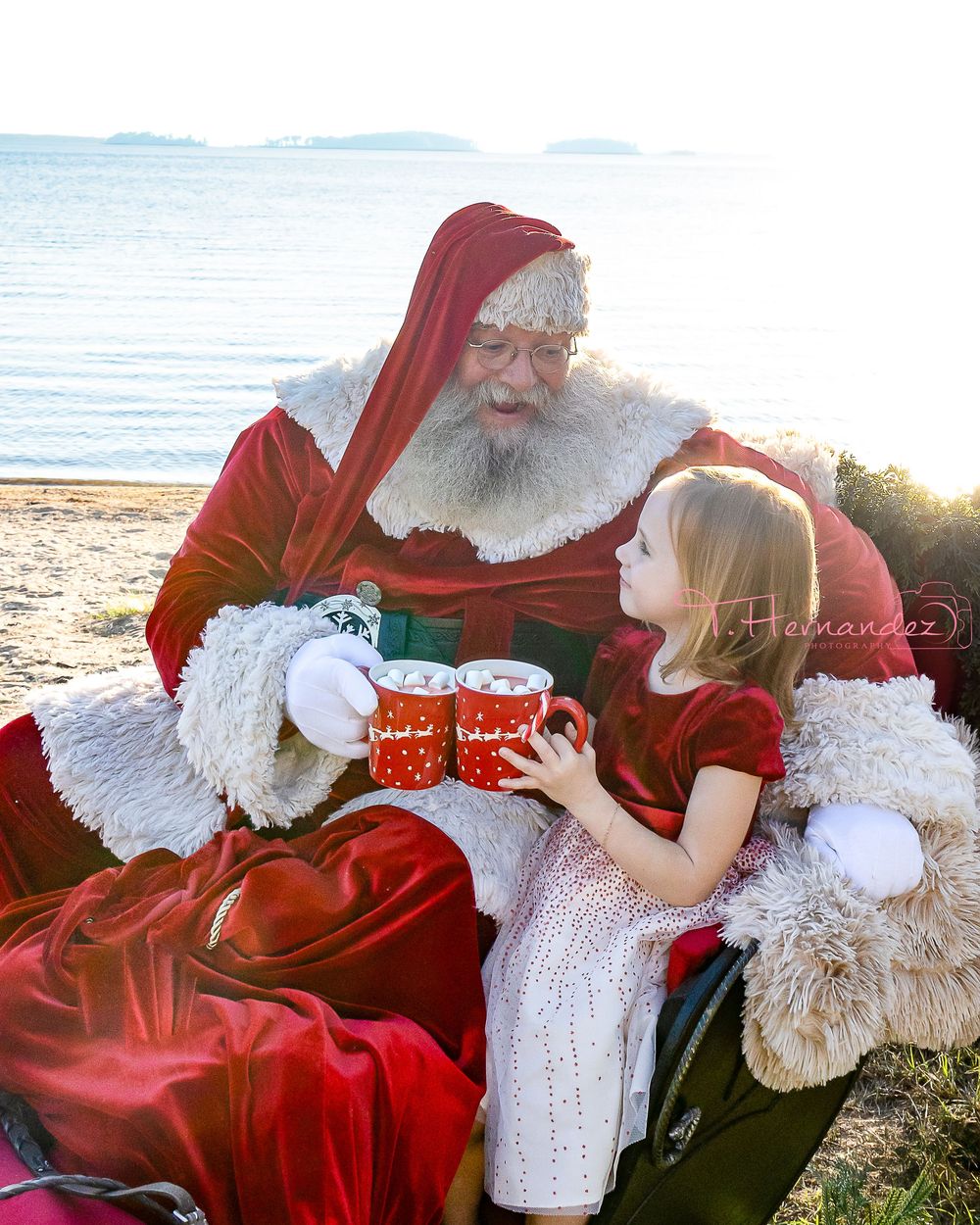 #SantaSessions #LakeMurraySC #ColumbiaSCPhotographer #SantaPhotos #ChristmasPhotos #HolidayMiniSessions
