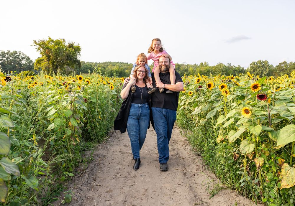 People walking through vibrant rows of tall sunflowers in a sunny field during summer.