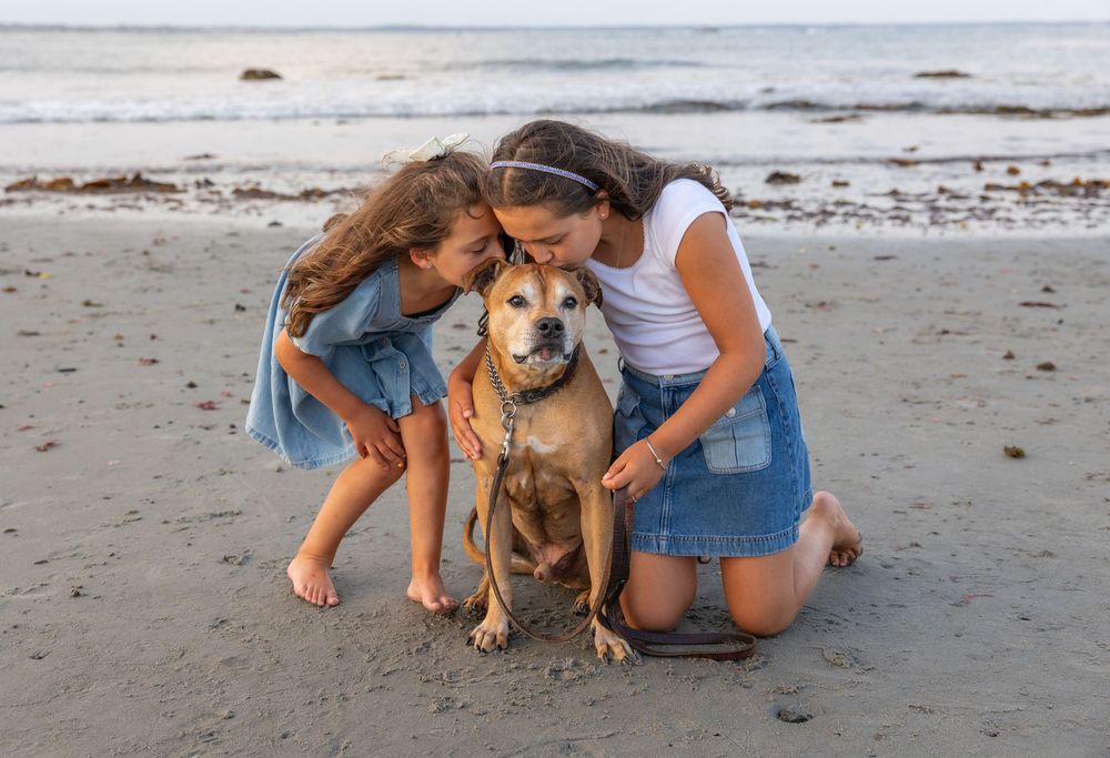 Family playing with their golden retriever dog on sandy beach at sunset.
