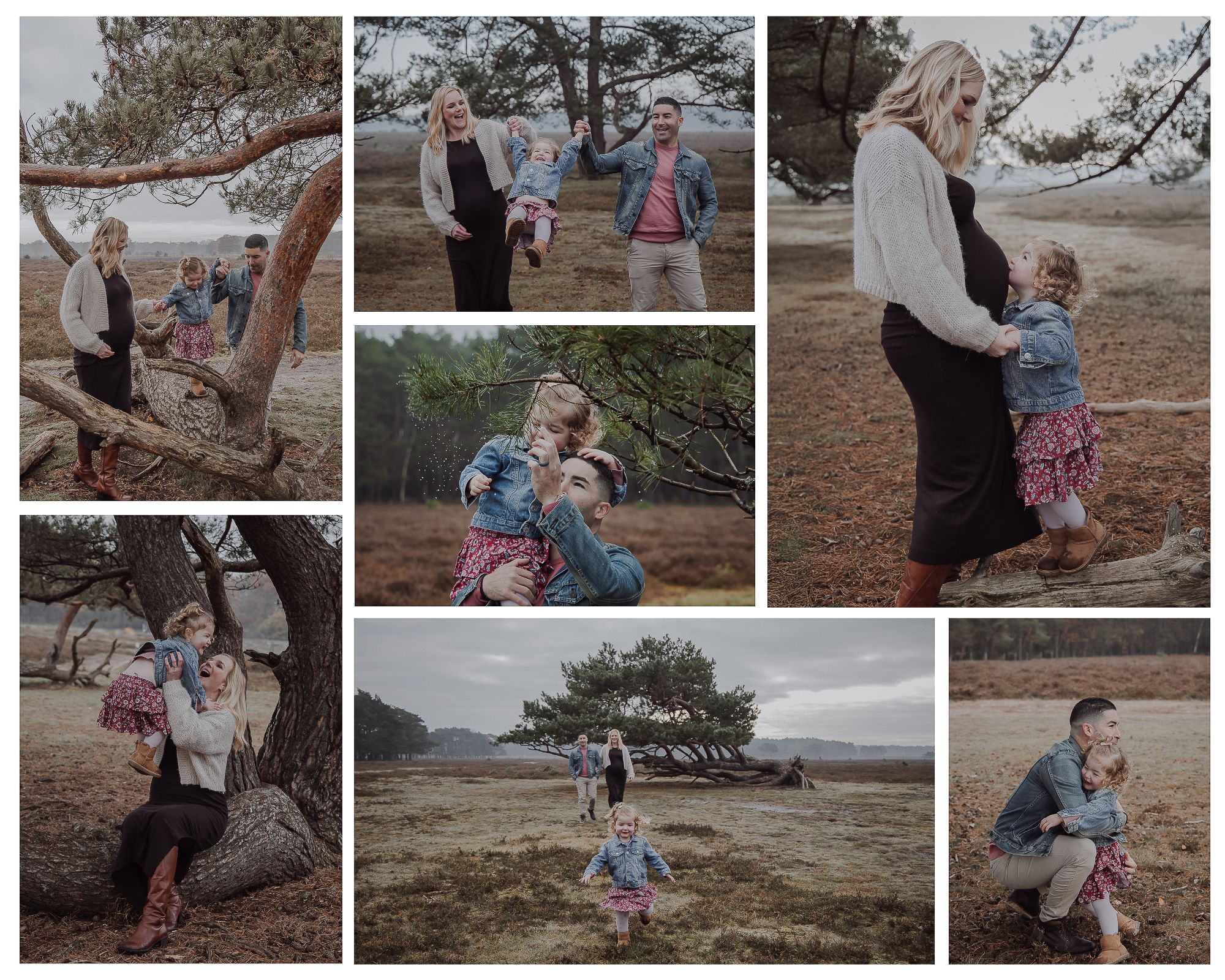 A family maternity photo shoot taken outdoors in a heathland setting with pine trees, featuring parents and a young child.