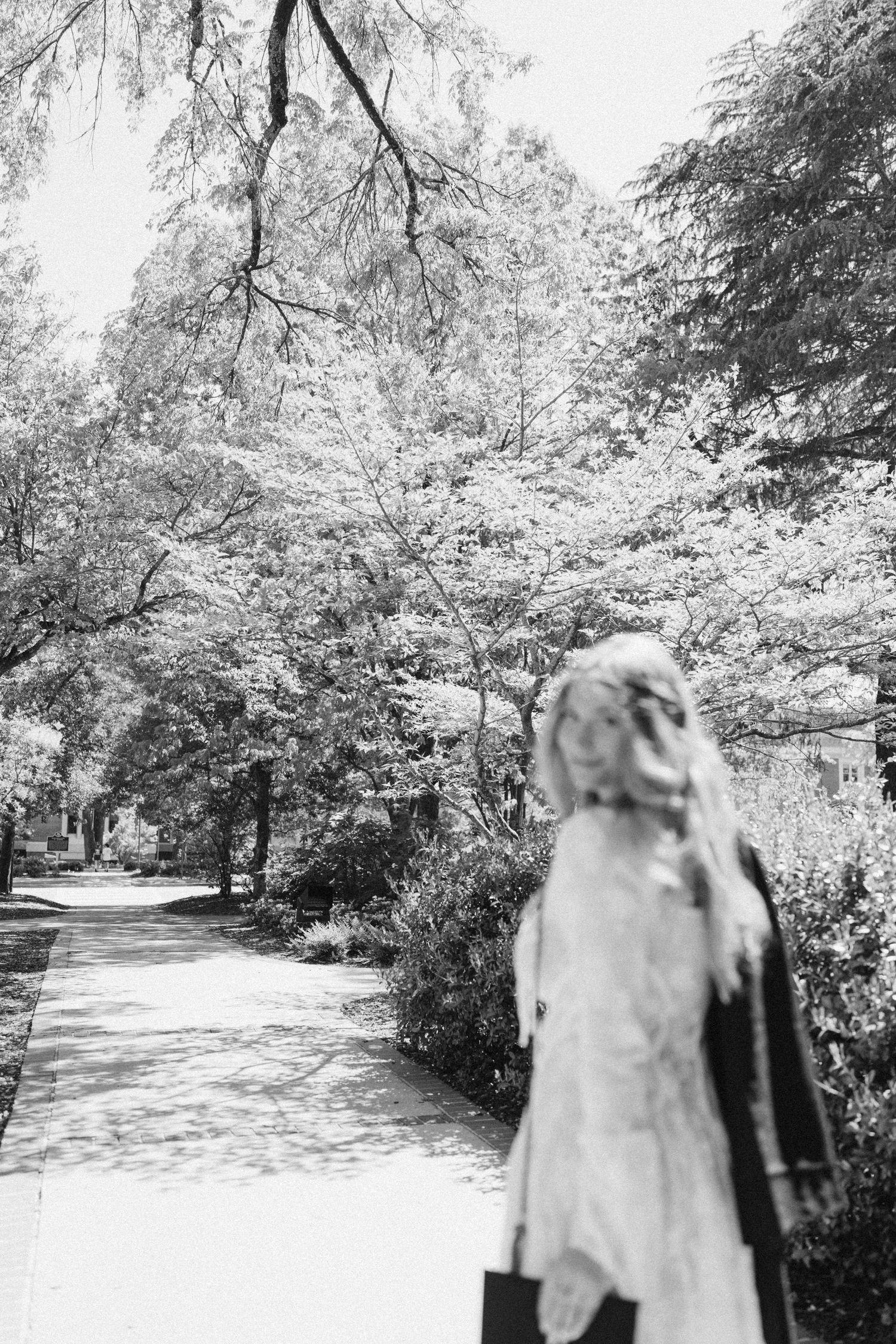 Auburn Grad Photographer | Avery Morgan Photography