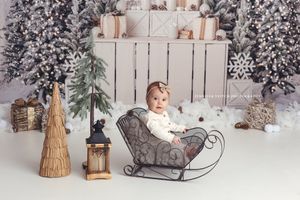 christmas mini Saskatoon