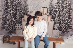 christmas mini