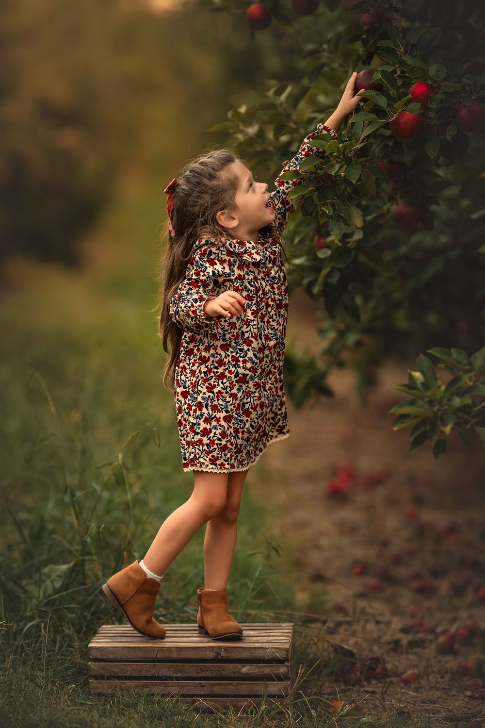 Young child in floral dress reaches up to pick apples from a tree while standing on wooden crate in the orchard.
