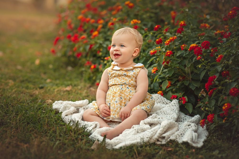 Child in yellow dress sit on white lace blanket near blooming red roses in garden setting for family photos.