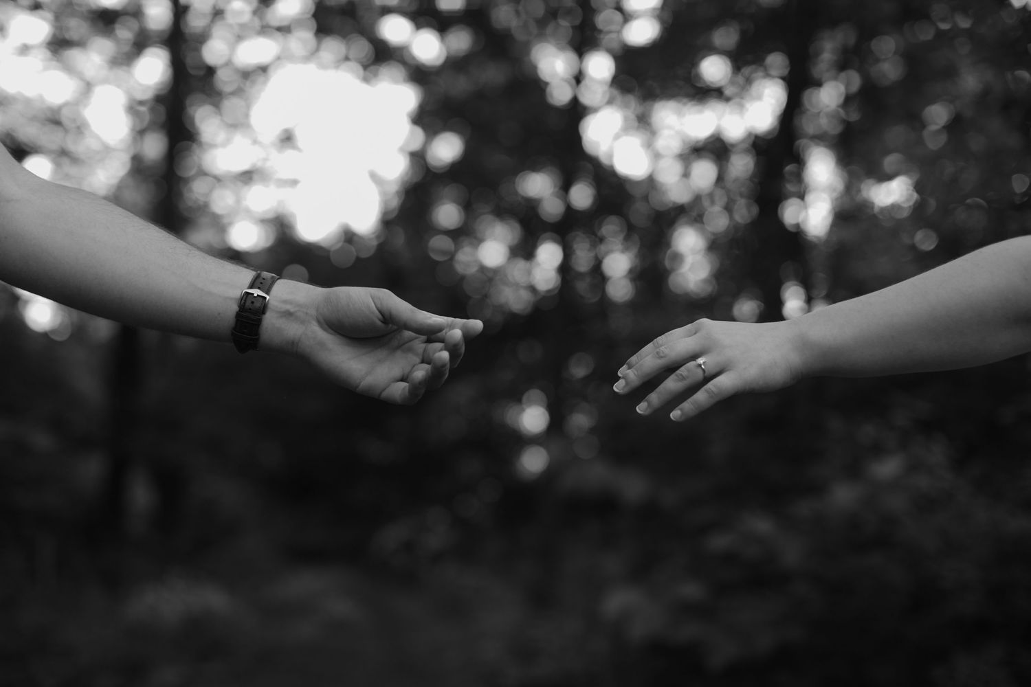 Black and white image of two hands reaching toward each other in a dreamy forest setting.