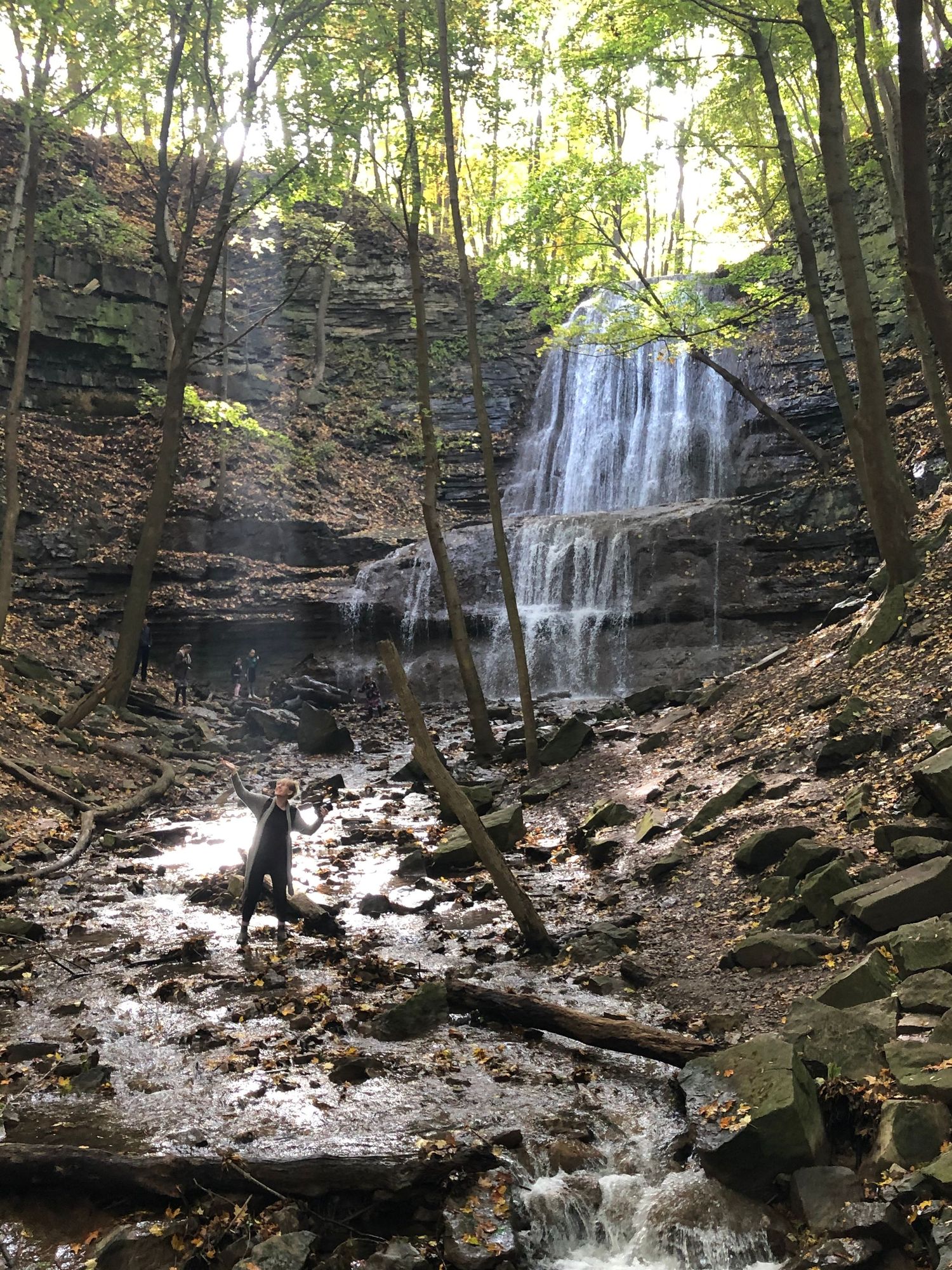 Scenic waterfall cascading down rocky cliffs in a lush forest setting.