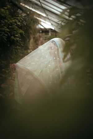 Ethereal white veil flowing in natural light through a greenhouse window.