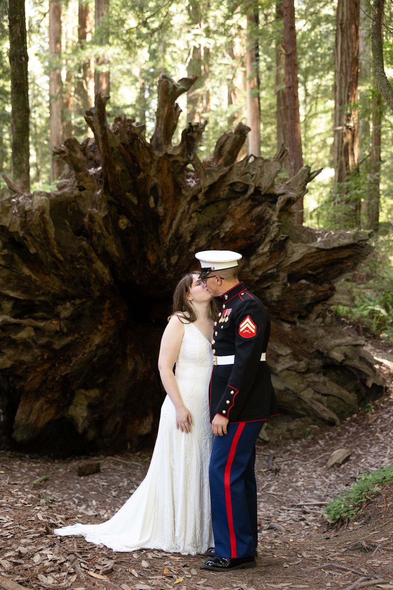 Marine in dress uniform kissing bride before large redwood tree roots.