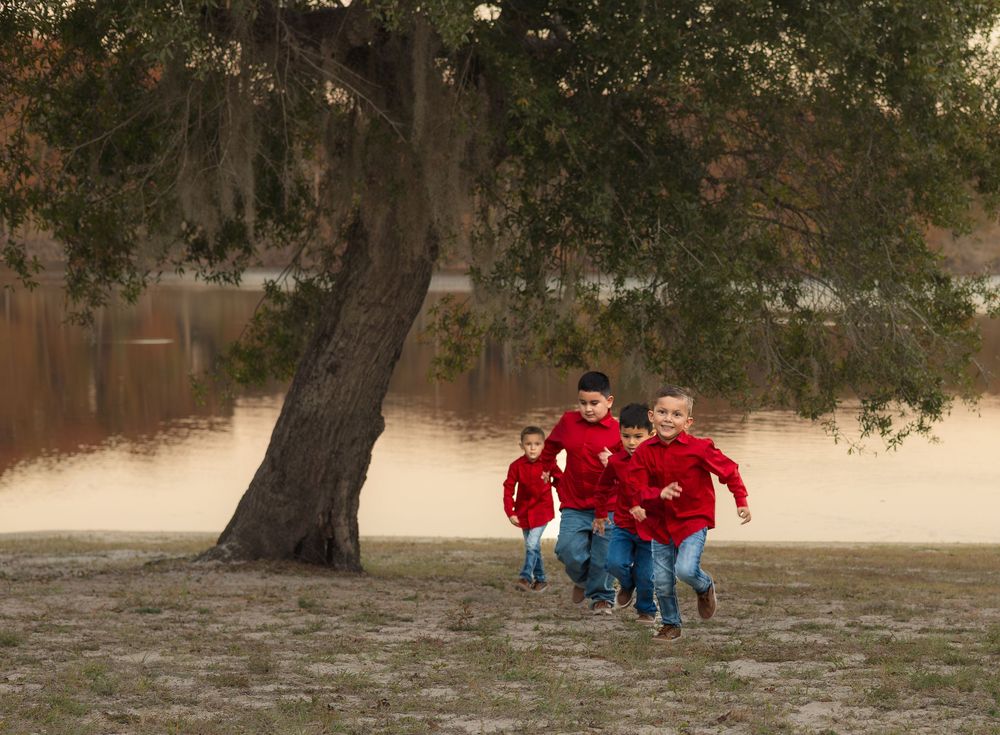 Bushnell Florida Photographer
Webster, Florida Photographer
photographer in sumter county florida
webster florida
photographer in webster fl