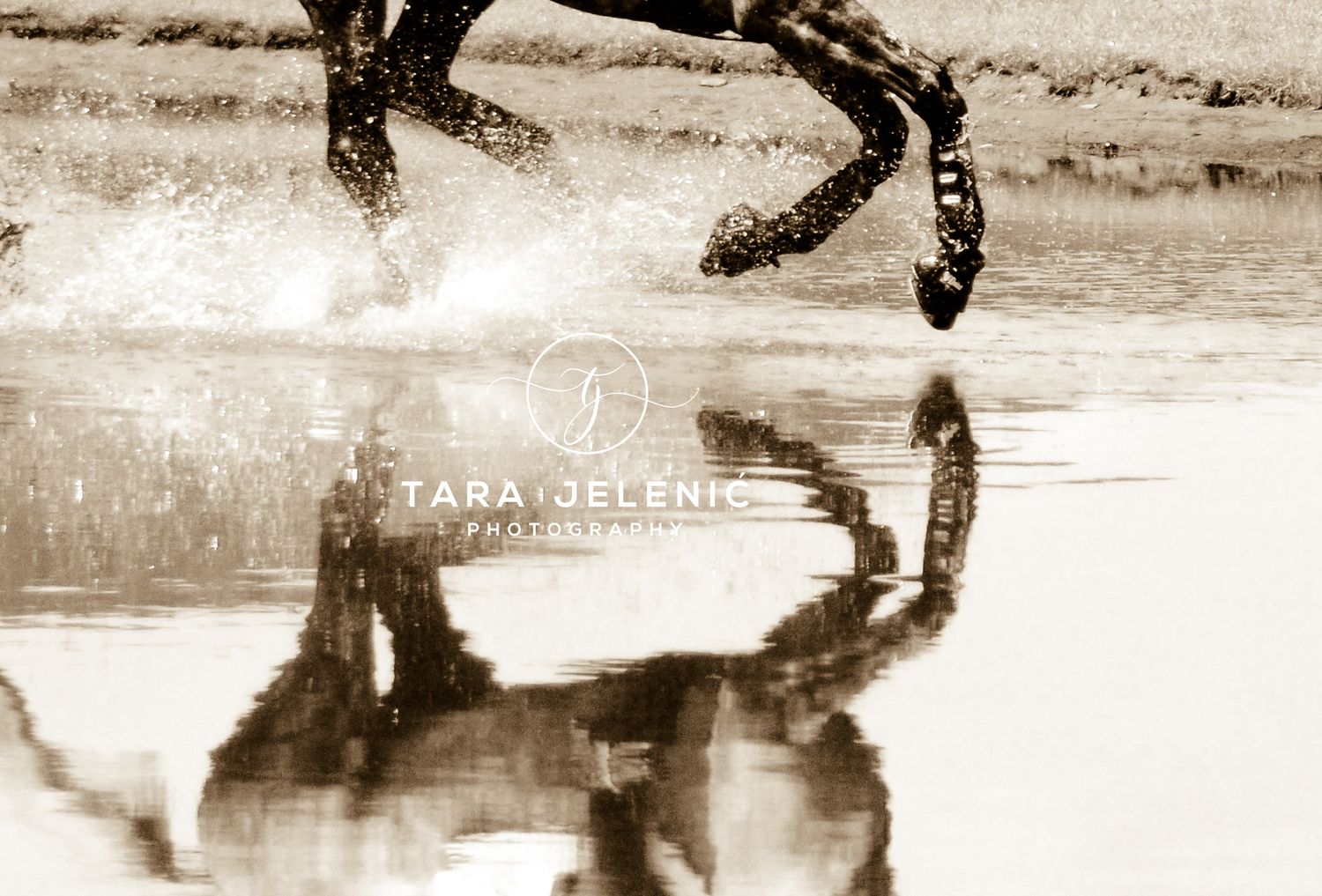©Lucid Nature Series ~ Reflection in Sepia
Tara Jelenić Photography