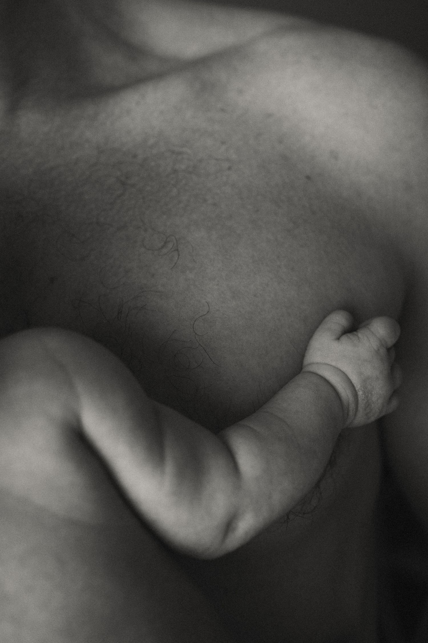 Black and white artistic series focusing on gentle curves and shadows of an infant.