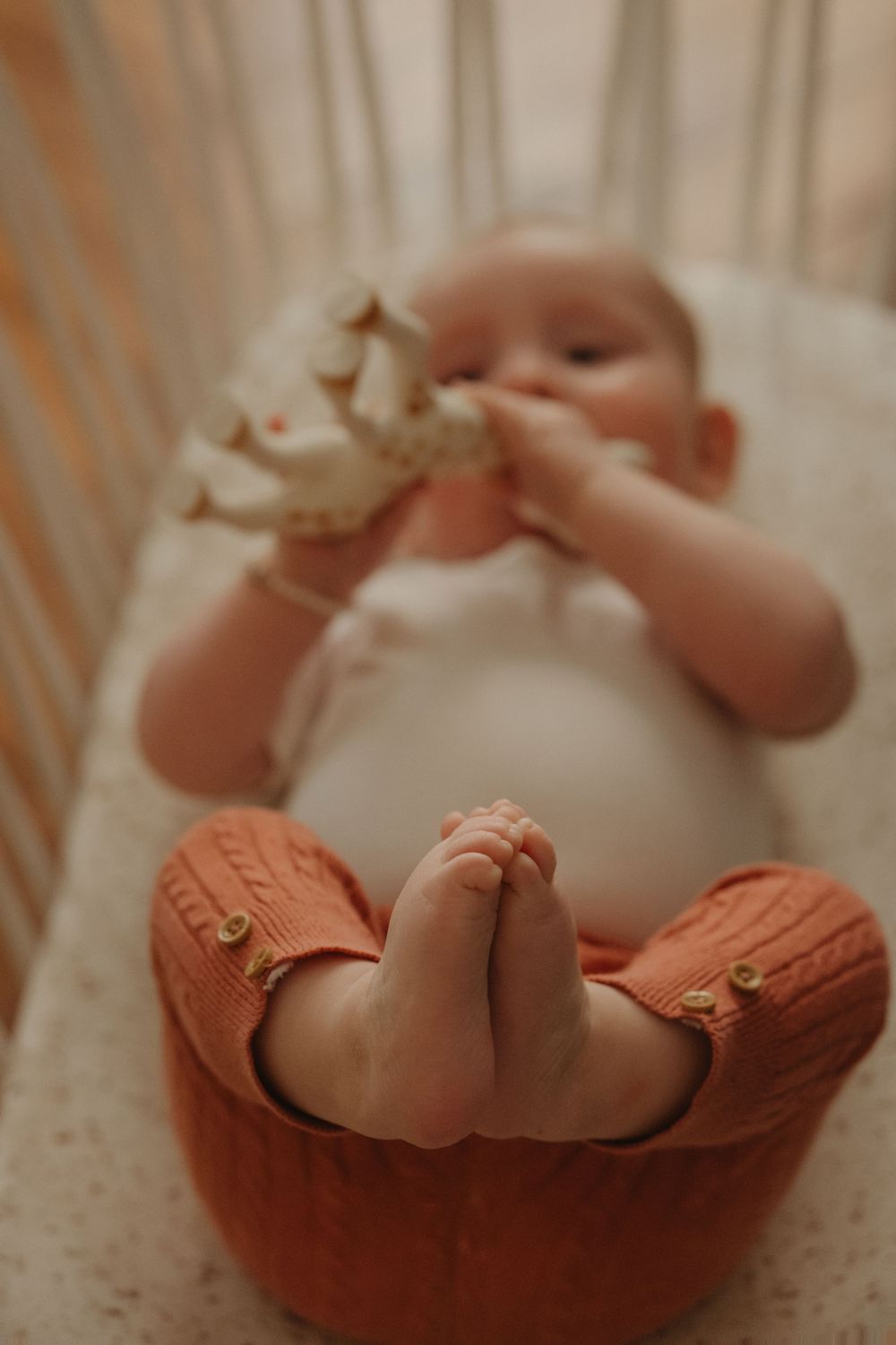 baby photo in Lyon