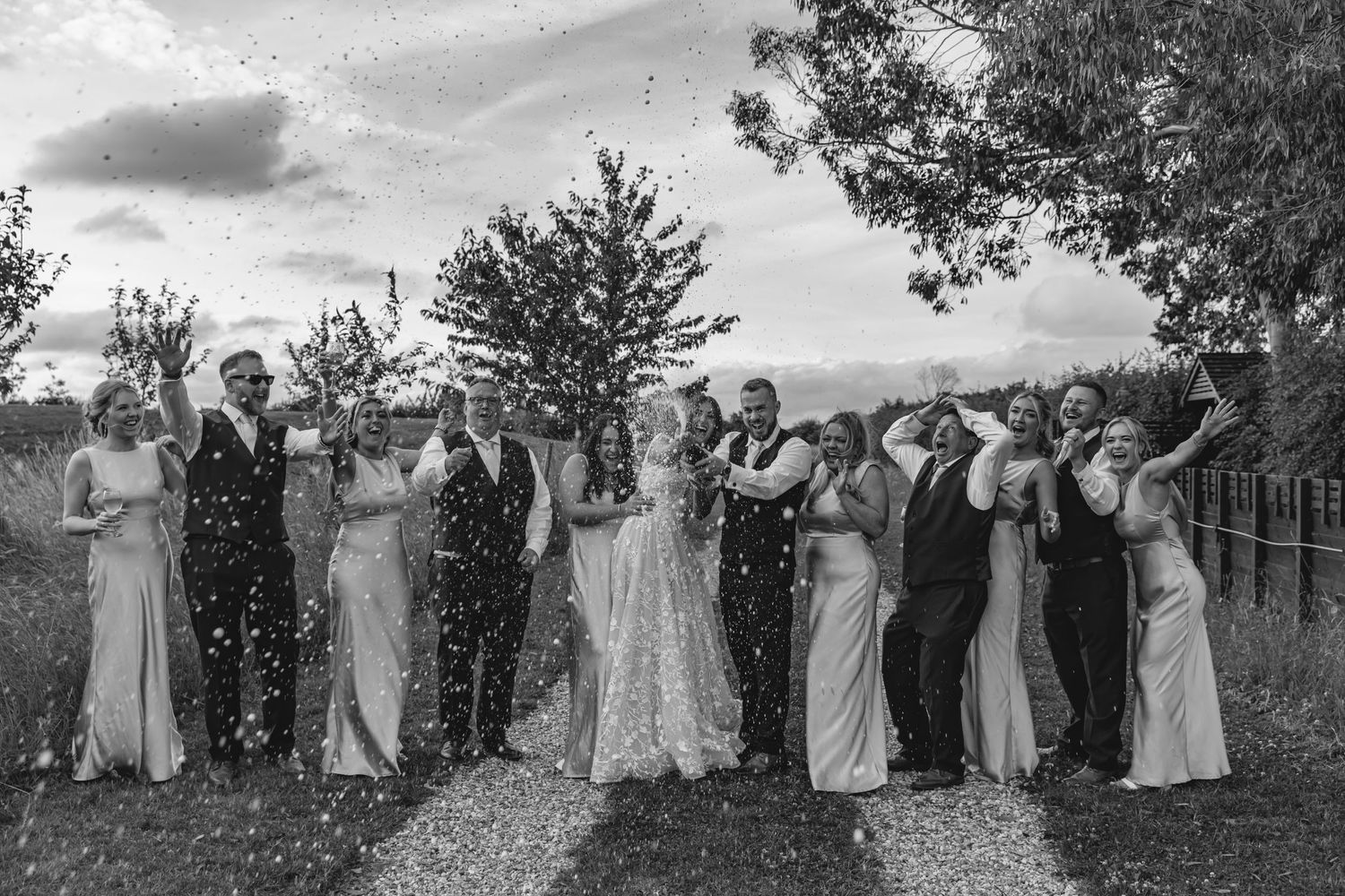 Wedding party arranged in a line outdoors for a black and white photograph.
