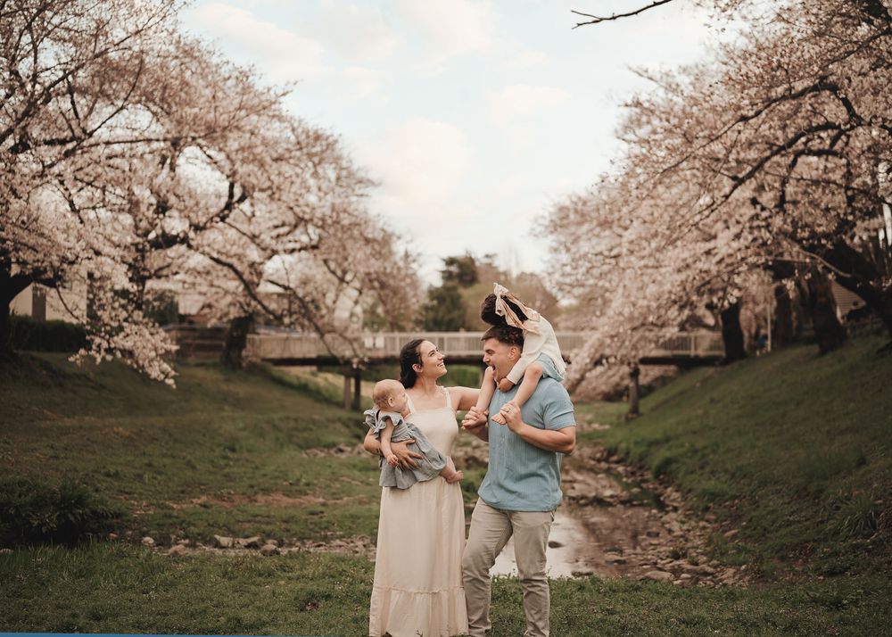 A group gathers under blooming cherry blossom trees in a park during springtime for photos.