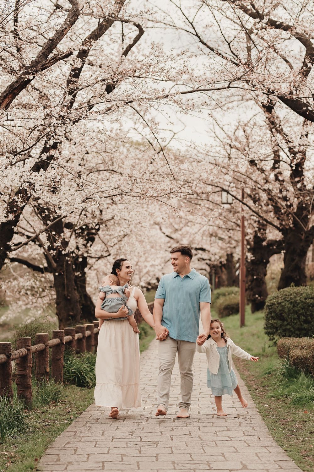 A couple and young child stroll together along a cherry blossom lined stone path during springtime.